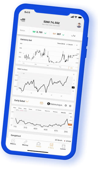 Divtron digital web application on mobile device